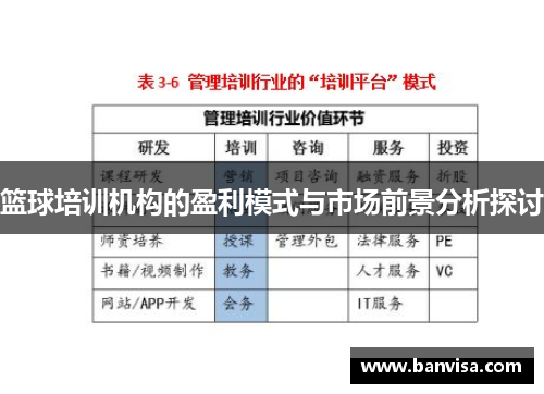 篮球培训机构的盈利模式与市场前景分析探讨