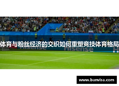 体育与粉丝经济的交织如何重塑竞技体育格局